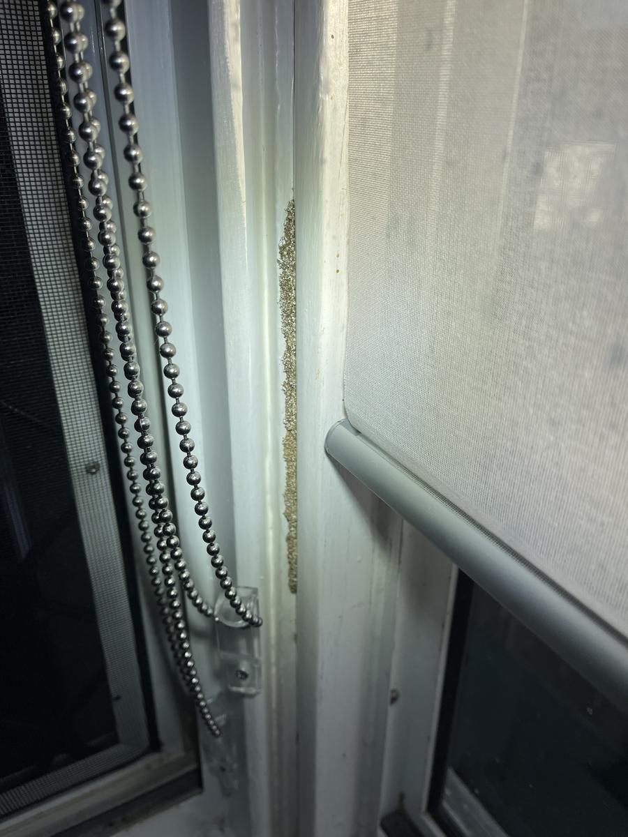 Termite evidence found in a window frame